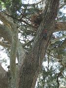 St. Augustine - March 136